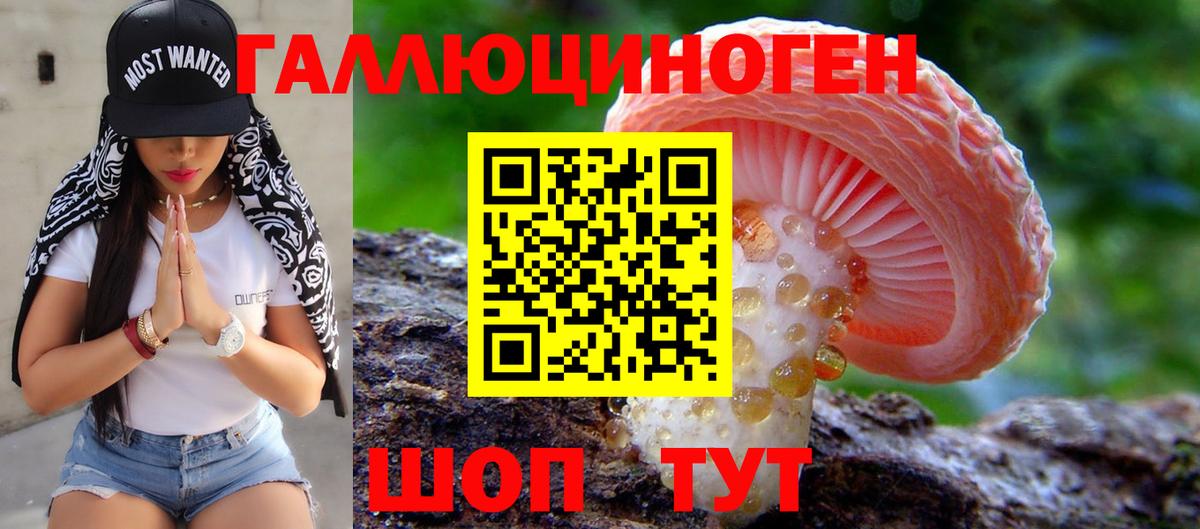 Псилоцибиновые грибы MAGIC MUSHROOMS Азнакаево