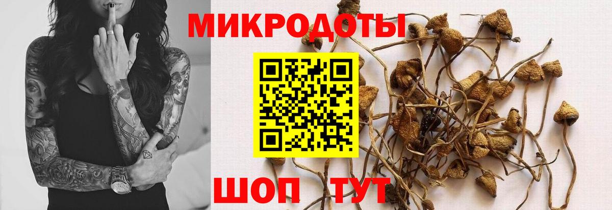 Азнакаево  сколько стоит  Вход с VPN  Галлюциногенные грибы мухоморы 