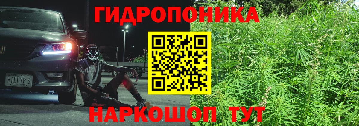 Конопля конопля Азнакаево